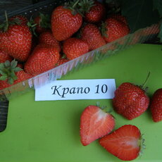 КРАПО 10 - лпх-первомайское.рф