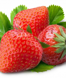 Клубника - лпх-первомайское.рф