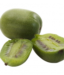 Актинидия - лпх-первомайское.рф