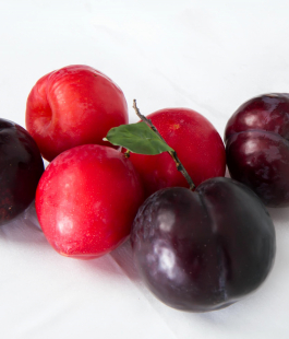 Алыча привитая - лпх-первомайское.рф