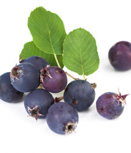 Ирга - лпх-первомайское.рф