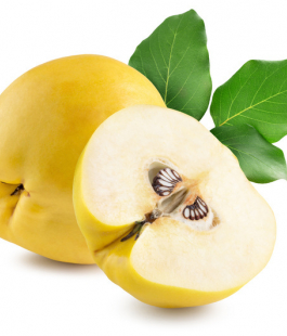 Айва японская - лпх-первомайское.рф