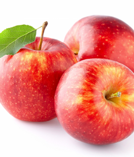 Яблоня - лпх-первомайское.рф