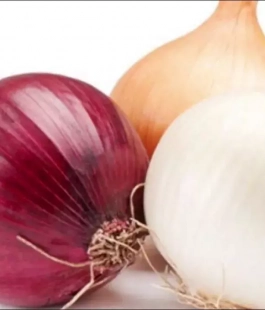 ЛУК -СЕВОК - лпх-первомайское.рф