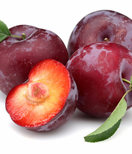 Сливо-вишневый гибрид - лпх-первомайское.рф