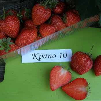 КРАПО 10 - лпх-первомайское.рф