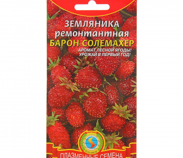 земляника Барон солемахер (нет в наличии) - лпх-первомайское.рф
