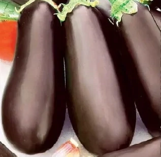 Баклажан Мария - лпх-первомайское.рф - Екатеринбург