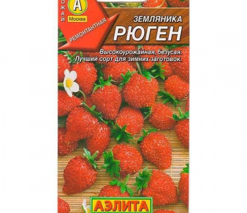 земляника Рюген - лпх-первомайское.рф