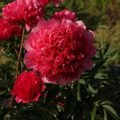 Команд перфоманс - лпх-первомайское.рф - Екатеринбург