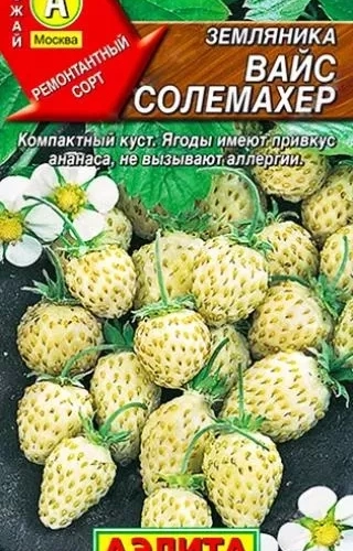 земляника Вайс Солемахер - лпх-первомайское.рф - Екатеринбург